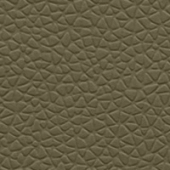 COURO ECOLÓGICO FENDI